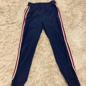 ARITZIA joggers! lightly worn!